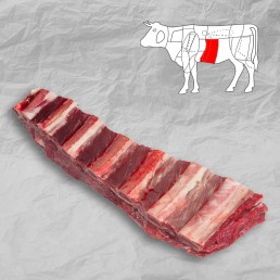 Hovězí přední s kostí žebro