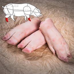 Vepřová nožička